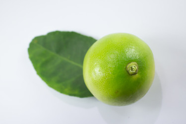 Similar image 20059260