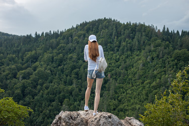 Similar image 20194391