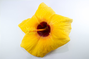 Similar image 20059266