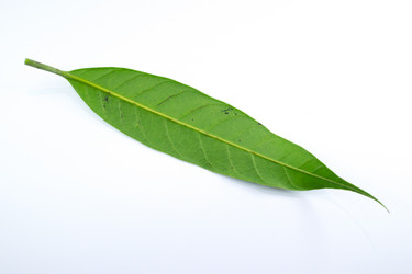 Similar image 20059283