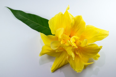 Similar image 20059252