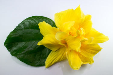 Similar image 20059253