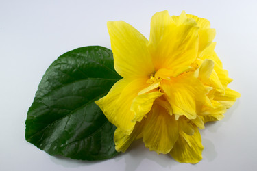 Similar image 20059259