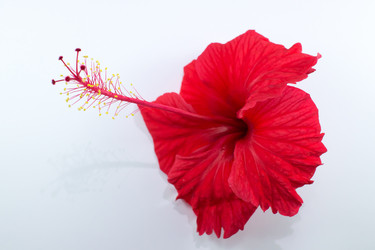 Similar image 20059155