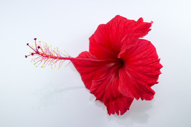 Similar image 20059156