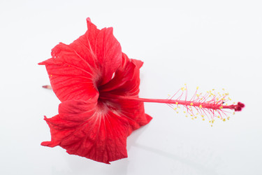 Similar image 20059158