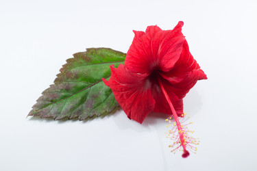 Similar image 20059159