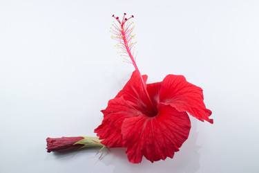 Similar image 20059164