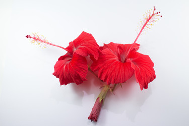 Similar image 20059165