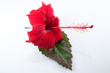 Similar image 20059166