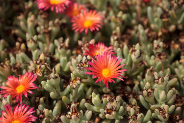 Similar image 20120785