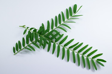 Similar image 20059195