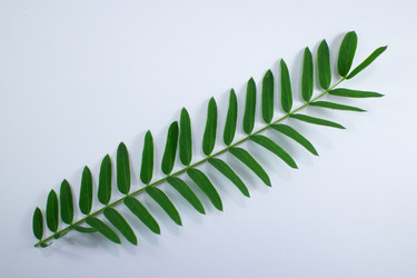 Similar image 20059196