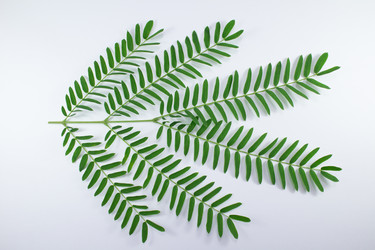 Similar image 20059199