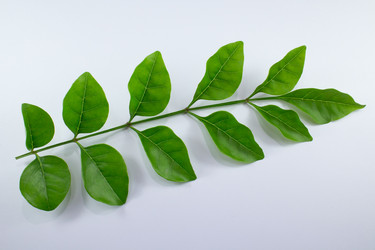 Similar image 20059357