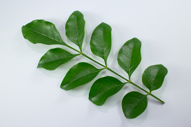 Similar image 20059358