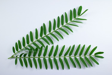 Similar image 20059360