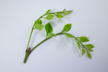 Similar image 20059362