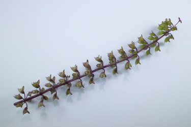 Similar image 20059363