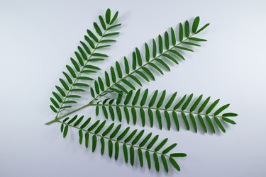 Similar image 20059364