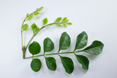 Similar image 20059365