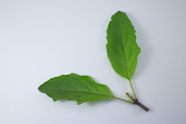 Similar image 20059366