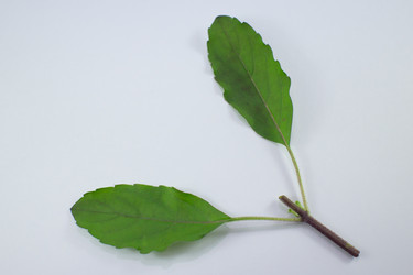 Similar image 20059226