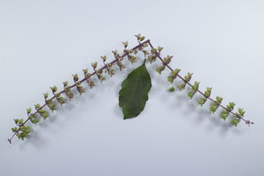 Similar image 20059227