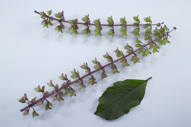 Similar image 20059228