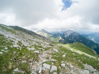 Similar image 20194554