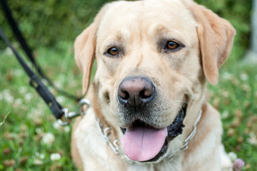 Similar image 20194617