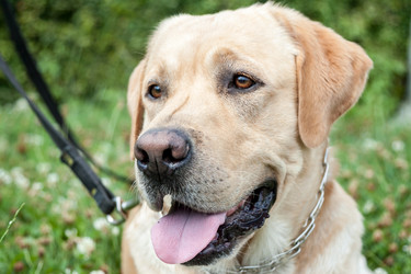 Similar image 20194620