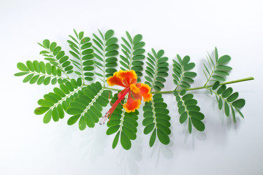 Similar image 20059193