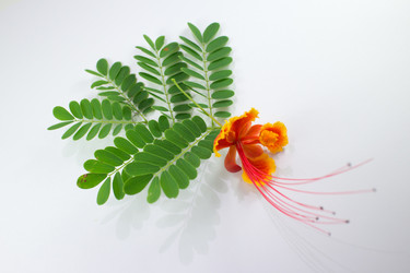 Similar image 20059201