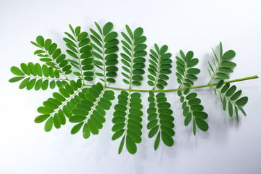 Similar image 20059202