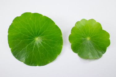 Similar image 20059206