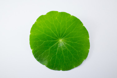 Similar image 20059207