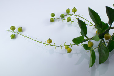 Similar image 20059208