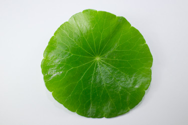 Similar image 20059210