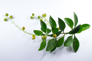 Similar image 20059211