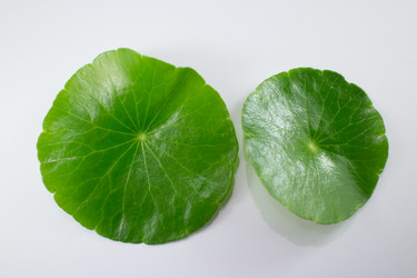 Similar image 20059212