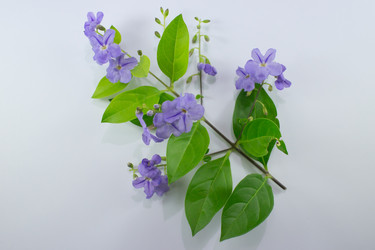 Similar image 20059214