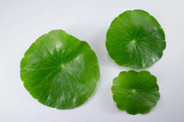 Similar image 20059371