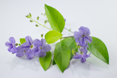 Similar image 20059373