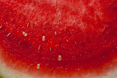 Similar image 20194309