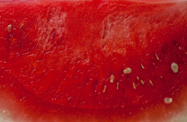 Similar image 20194310