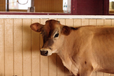 Similar image 20120717