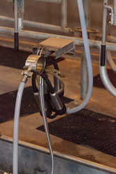 Similar image 20120693