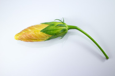 Similar image 20059329