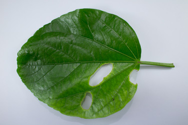 Similar image 20059338